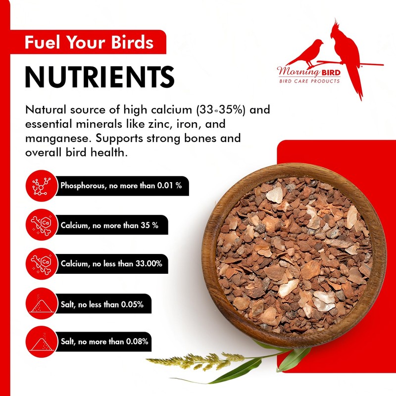 Morning Bird Pigeon Grit - Healthy & Nutritious Bird Food