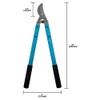 Zenport MV20 Professional Tree Lopper, Vine and Light Tree, 2-Inch