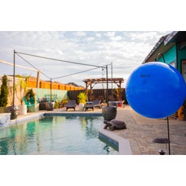 Bug Ball Deer Fly Ball Premium Replacement Kit - Biting Fly and Insect Trap, Pack of 3