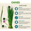PROUDLY CANADIAN Organic N Natural | Chives 100% Natural |