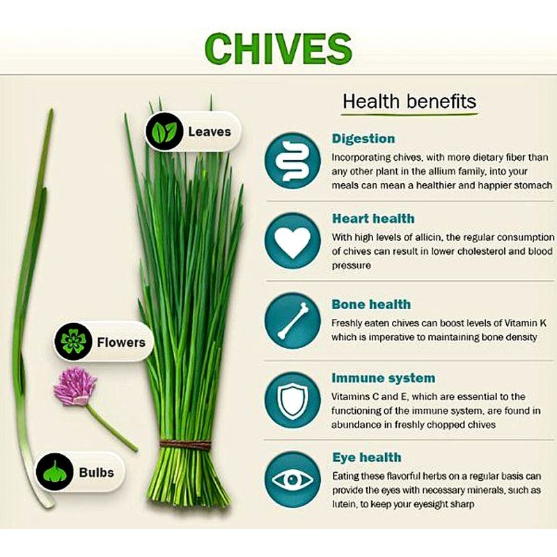 PROUDLY CANADIAN Organic N Natural | Chives 100% Natural |