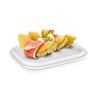 Tescoma Freshzone Food Container 30 x 20 cm