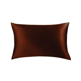 Jasmine Silk 100% 19 Momme Mulberry Charmeuse Silk Pillowcase for Hair and Skin 50 cm x 75 cm Envelope Closure- RRP £35 (Mocha)