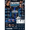 Creatina Monohidratada Usp 500g Micronizada Sin Sabor 100tom