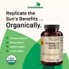 Futurebiotics Vitamina D3 10,000iu Con 360 Tabletas Orgánicas Hecho En