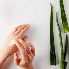 Leo & Lilo Moisturising Hand & Body Lotion with Organic Aloe Vera - 295 ml - Natural Cosmetics