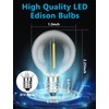 G40 Edison Clear Replacement Bulbs, 0.6W Shatterproof Light Bulbs for