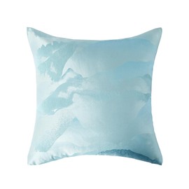 AMBERIS 2 Pillowcases (45×45cm)(without Insert), Modern Style 2 Pillowcases (without Insert) No Fading Soft