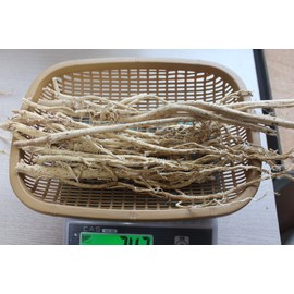 100g Pihwanggi, white-boiled ingredients, Gyeongbuk Yeongju whole Pihwanggi 100g / 피황기 100g 백숙재료 경북영주 통피황기100g