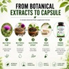 Milk Thistle Capsules - 80% Silymarin - 90 Capsules -