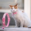 Jecikelon 6 PCS Puppy Collars Adjustable Pup Collar for Small