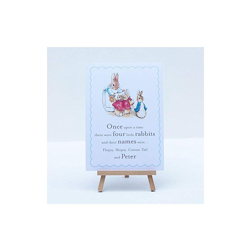 Peter Rabbit A5 'Once upon a time there were Four