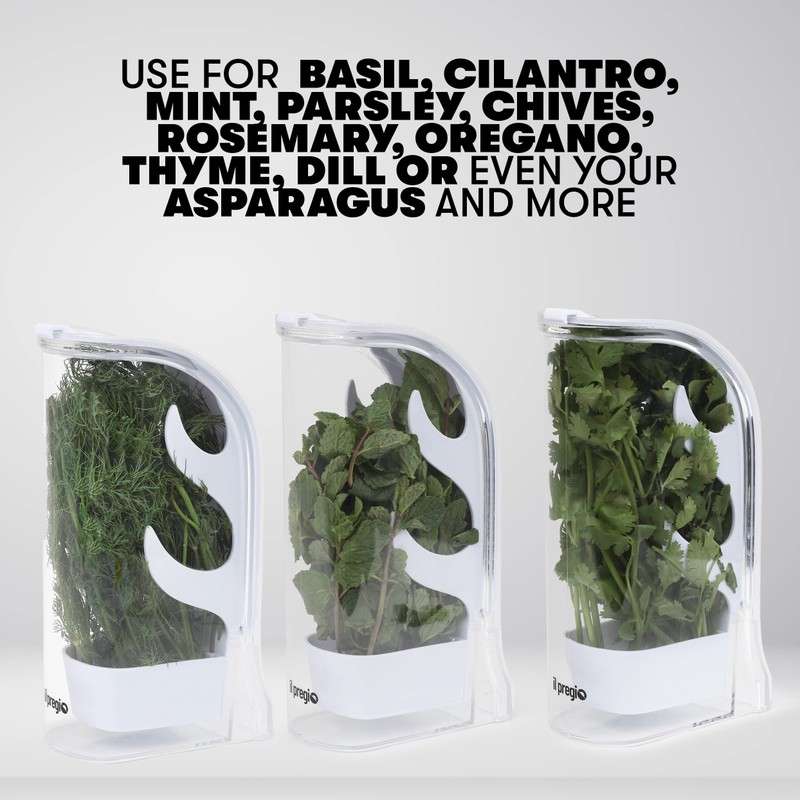 Il Pregio Fresh Herb Keeper and Storage Container - Premium