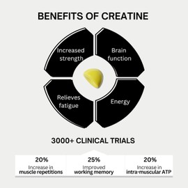 Bod BOD Creatine Gummies, Creatine Monohydrate Gummies, Lemon Drop, for Muscle Support, and Energy Support, Pre Workout Supplement, 5g Creatine for Women and Men per Serving, 30 Servings, 150 Gummies