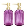 Soap Dispenser - 2 Pack 14 Oz Kitchen Soap Dispenser