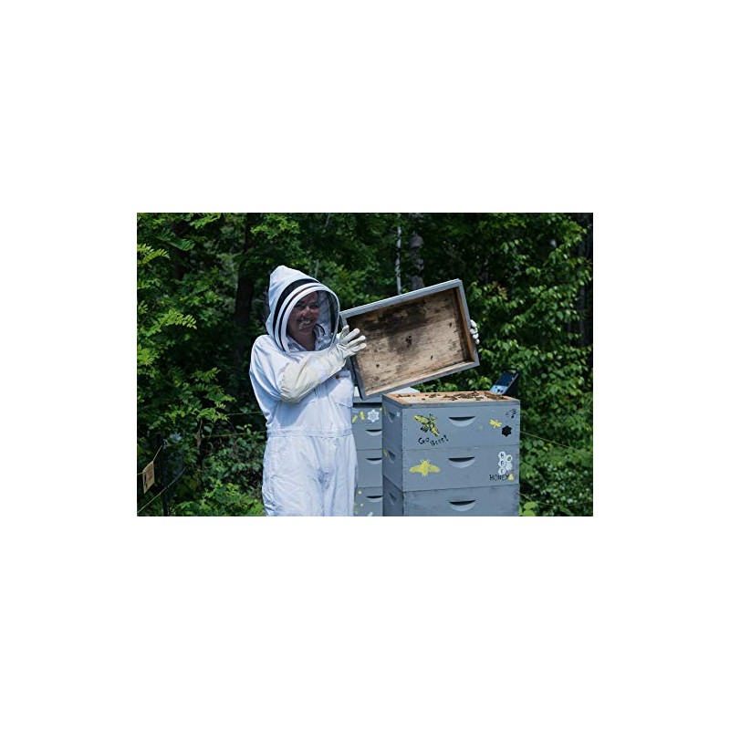 Wild Raspberry Honey - 8 oz, Made in Maine, Organic,