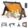 YCaeiou Brooder Plate for Chicks, Adjustable Height & Angle Chick