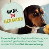 cdVet Calma LÖSUNG für Hunde und Katzen bei Nervosität und