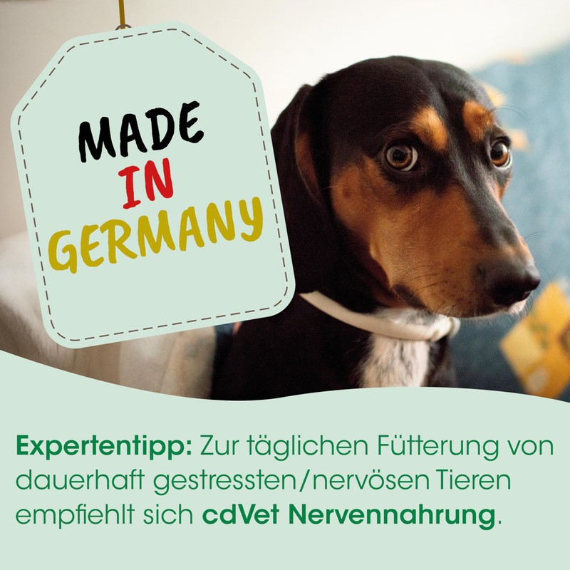 cdVet Calma LÖSUNG für Hunde und Katzen bei Nervosität und