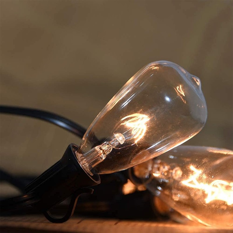 Couah Edison Light Bulbs 10-Pack Replacement ST38 Clear Bulbs -