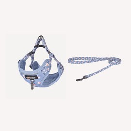 Luklan DOGNESS Dog Ness Leash & Harness Set, Little Rascal Turquoise for Small Dogs, Up to 2.2 lbs (1 - 5 kg) with Reflective Material