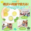 Rimikuru Food Sample Lemon Slice Ring Cutting Set, Fruit Cut,