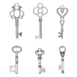 Salome Idea Skeleton Key Charm Set in Antique Silver (48 Charms) 6 Styles (Silver Color)