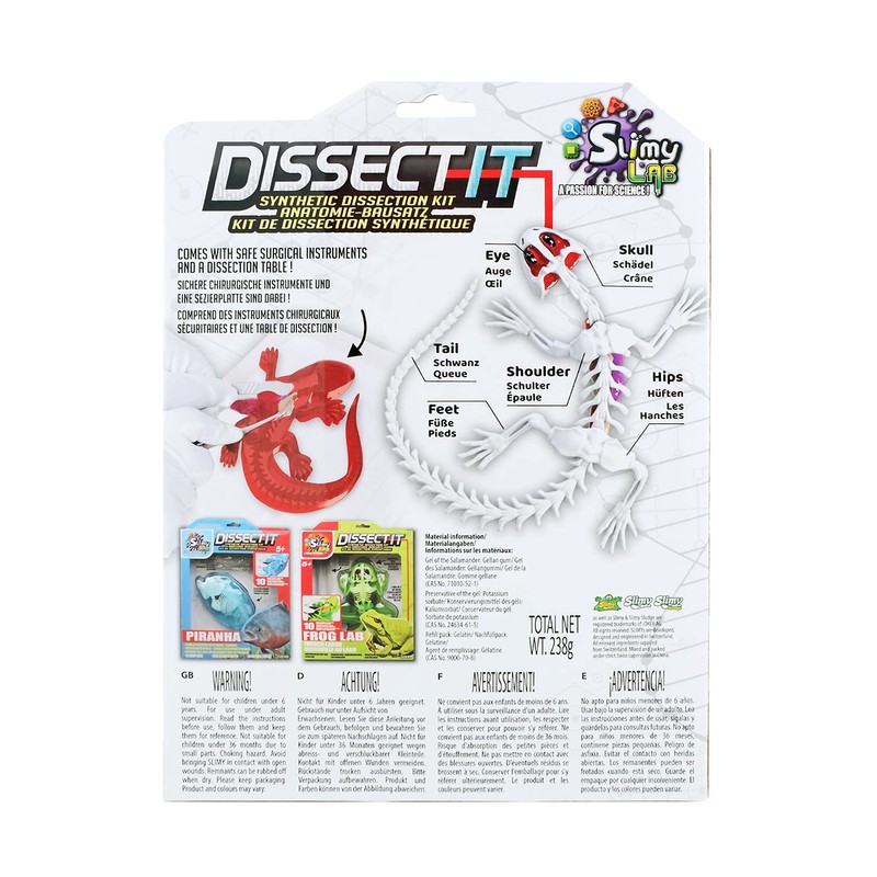 Slimy Original Lab Dissect-IT Salamander - Experiment & Research Dissecting