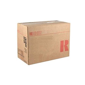Ricoh 418095 Printer Maintenance Kit Type P 501