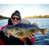 LMAB Drunk Bait 8, 12, 16 & 20 cm –