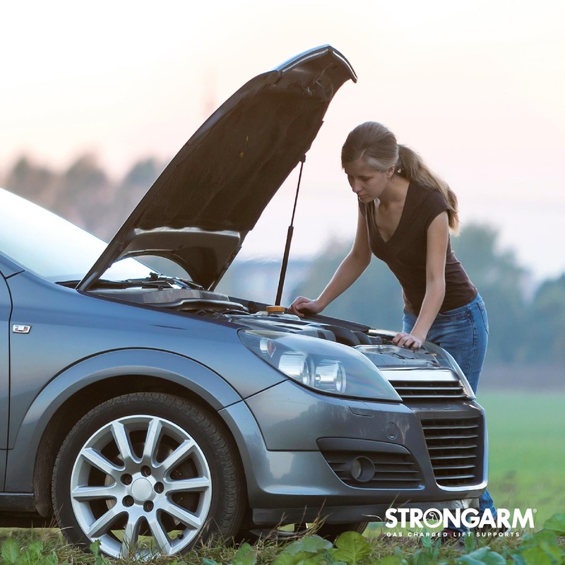 StrongArm 4179 Lexus RX330, 2004-06 Hood Lift Support, Pack of