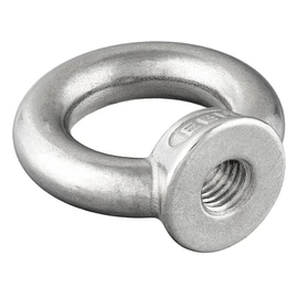 Ring Nuts Similar to DIN 582, Cast and Polished, Rustproof Stainless Steel A2/V2A, Eye Nut (M10, Pack of 2)