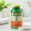 Spring Valley Vitamin C 1000 mg with Rose HIPS 500
