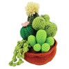 Needle Creations Crochet Kit - Cactus