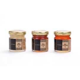 GUSTOEMILIA Honig-Trio-Set (3 x 50 g) – Italienischer Bio-Honig, Lindenhonig, Kastanienhonig und Honigtauhonig – Reich an Antioxidantien und Polyphenolen, natürlicher Süßstoff, hergestellt in Italien
