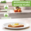 Ask Packaging 100% Compostable (12 Inch / 50-Pack) Heavy-Duty Eco-Friendly