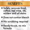 Stone Care International Stone Stain Remover - 10 Ounce -