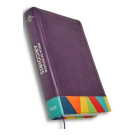 Biblia De Estudio Arcoiris Rvr1960 Imitación Piel Multicolor