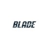 Blade BLH04009BK Blade Torrent 110 FPV Drone Quadcopter 2" FPV
