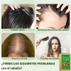 300ml*2pcs Champú Batana, Crecimiento Del Cabello