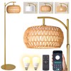 DRAWNCAT Gold Boho Rattan Floor Lamp w/Remote, Dimmable (2700K -