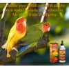 VITOFARMA Multivitamins For Birds 60ml Budgies, Parakeet, Cacatillos, Canarios exp.