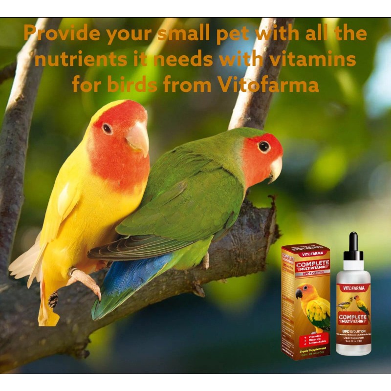VITOFARMA Multivitamins For Birds 60ml Budgies, Parakeet, Cacatillos, Canarios exp.