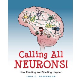 Calling All Neurons!: How Reading and Spelling Happen