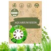 Premium Aquarium Plant Seeds for Planting – 13,000+ Live Mixed