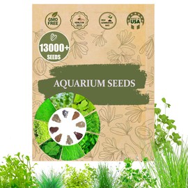 Premium Aquarium Plant Seeds for Planting – 13,000+ Live Mixed Seeds, 8 Varieties – Easy-to-Grow Aquatic Greenery for Lush, Vibrant Fish Tanks