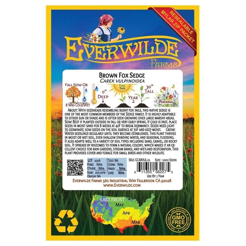 Everwilde Farms - 1000 Brown Fox Sedge Native Grass Seeds