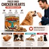 xixisusu Freeze Dried Chicken Hearts for Dogs and Cats -