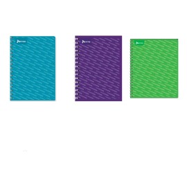 Norma 3 Cuadernos Norma Frances Doble Espiral Metálico C.grande 7m