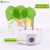 iBetterLife Sensor Night Light Color Changing Plug in Wall LED